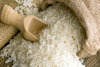 Pakistan looks to China’s farm model as agricultural cooperation expands