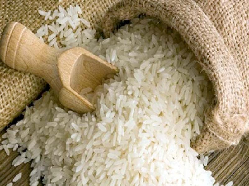 Pakistan looks to China’s farm model as agricultural cooperation expands