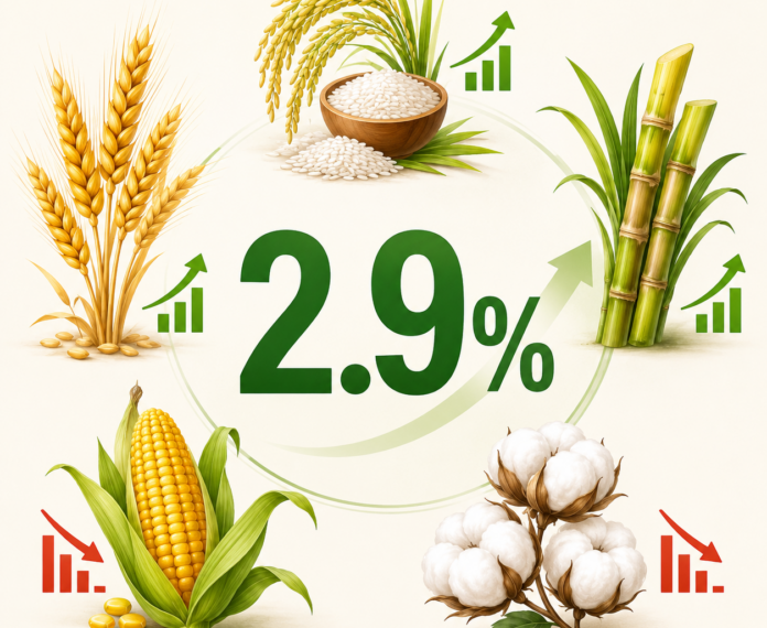 Pakistan’s agriculture sector grows 2.9% in FY26 as wheat, rice and sugarcane output rises